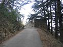 Photo 075
